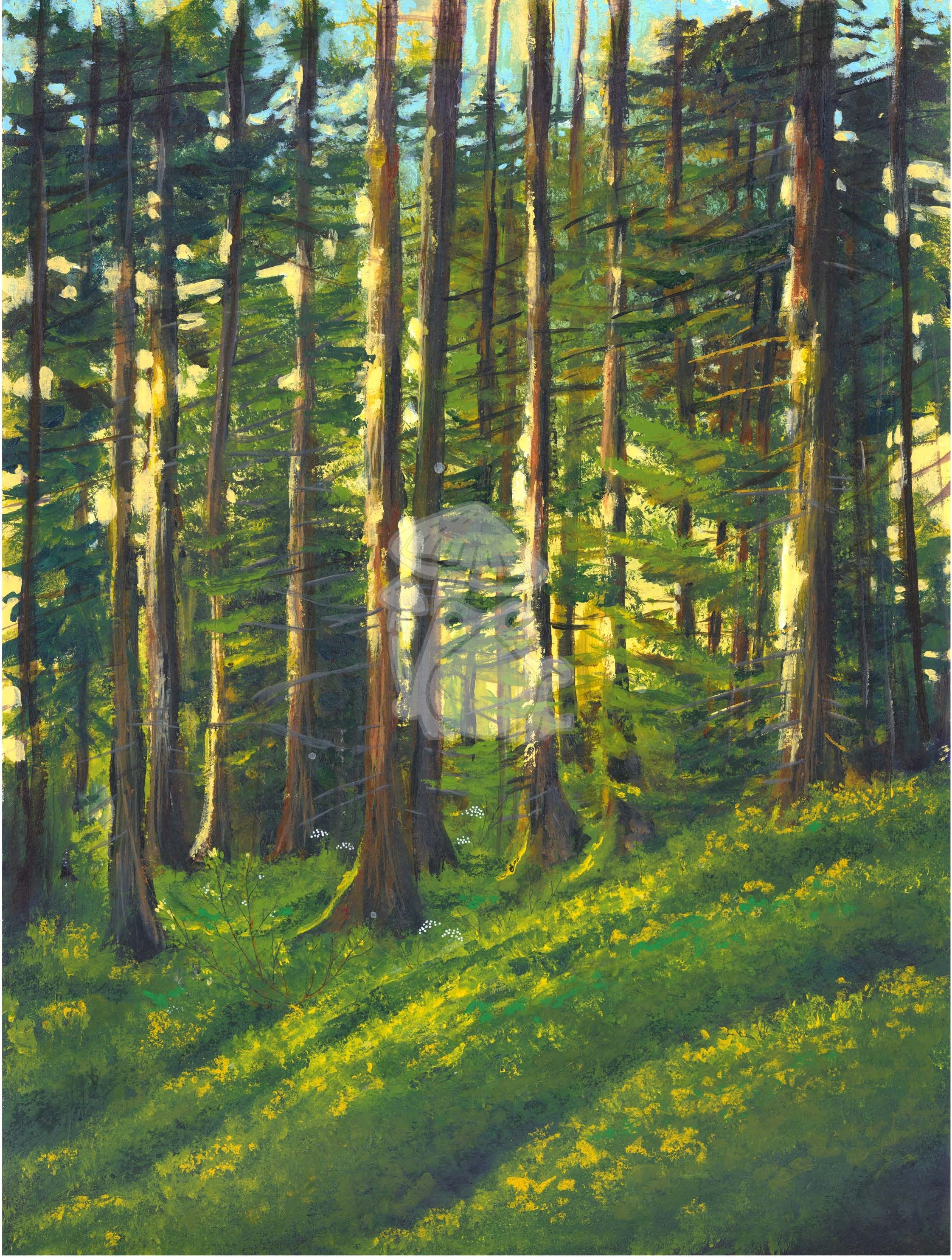 Skovra